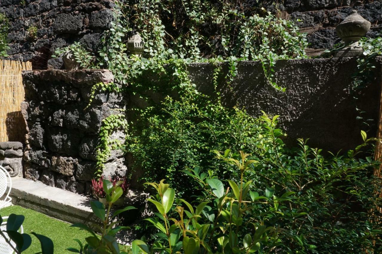 Casa Gise Διαμέρισμα Aci Castello Εξωτερικό φωτογραφία